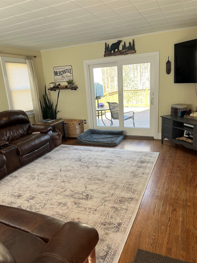 living room featuring dark wood-style floors