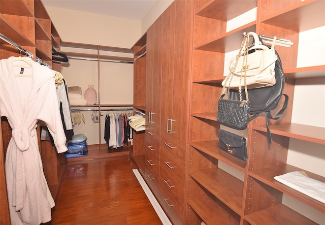 walk in closet featuring dark wood-type flooring