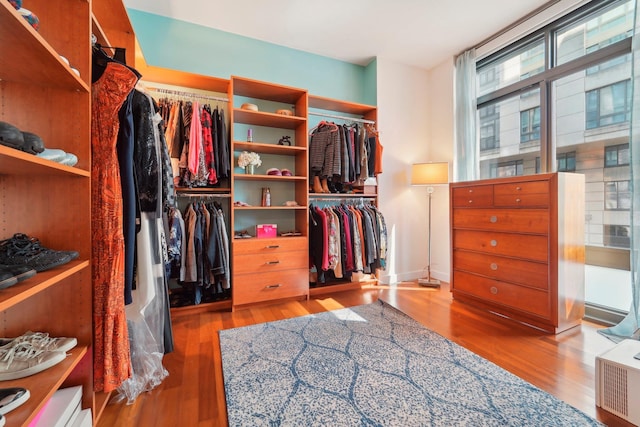 spacious closet featuring wood finished floors