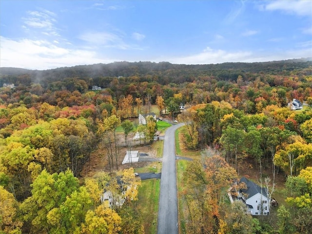 bird's eye view with a forest view