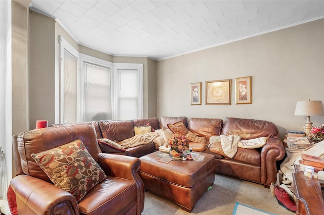 carpeted living room featuring crown molding