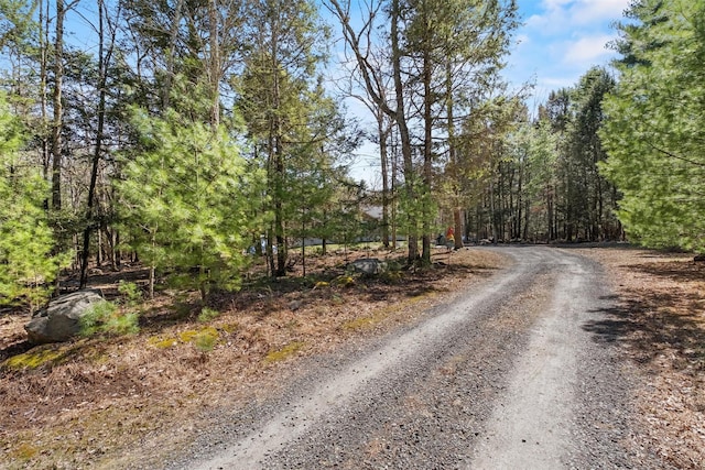 view of street with a forest view