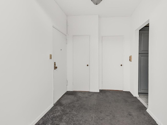 hallway featuring carpet floors