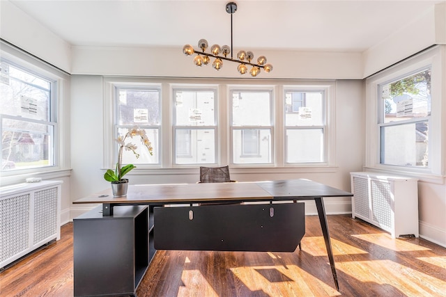 office area featuring radiator, wood finished floors, and plenty of natural light