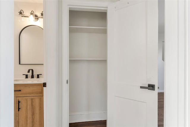 closet with a sink