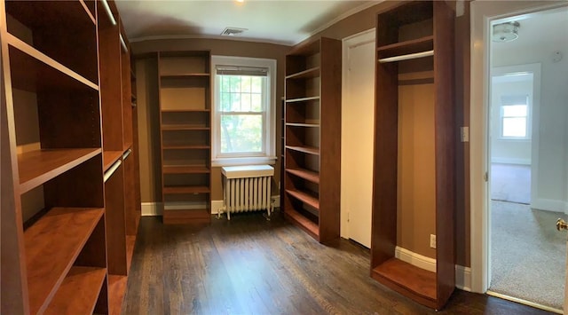 walk in closet with visible vents, dark wood finished floors, and radiator heating unit