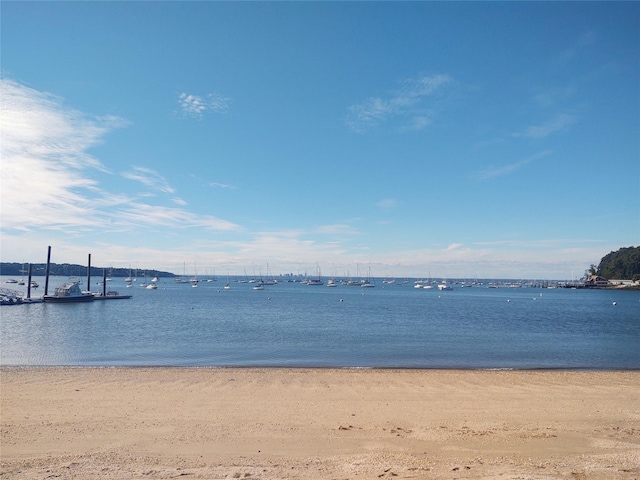 water view featuring a beach view