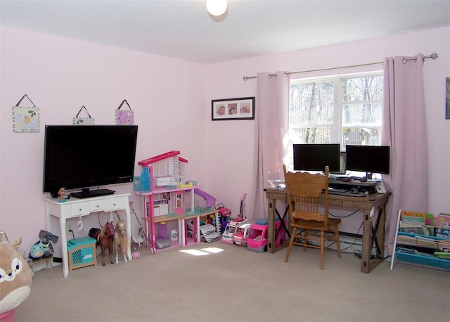 11 Doral Ln, Yaphank, NY 11980 - photo 19