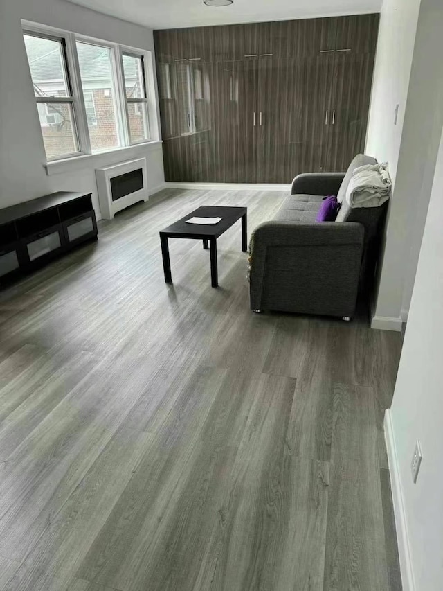 living room featuring baseboards, wood finished floors, and a fireplace