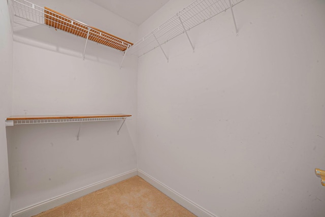 walk in closet featuring carpet floors