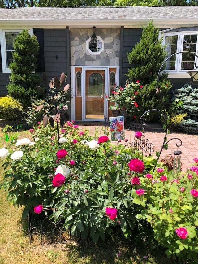 doorway to property with stone siding and roof with shingles