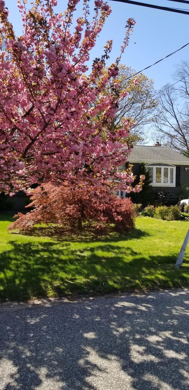 exterior space featuring a yard