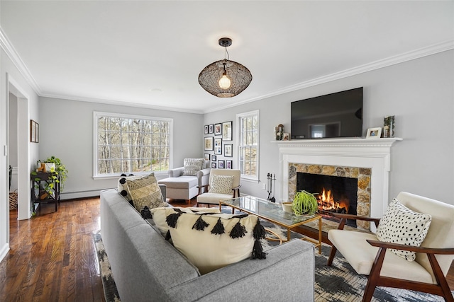 living area featuring crown molding, a baseboard radiator, wood finished floors, and a warm lit fireplace