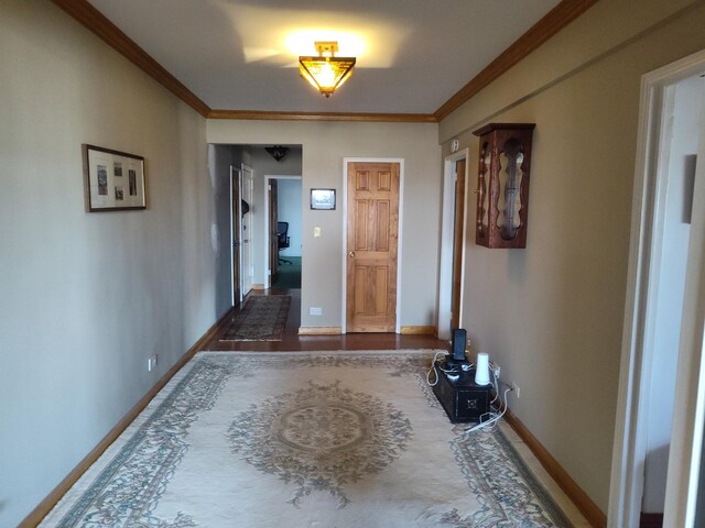 67-66 108th St Unit B64, Forest Hills, NY 11375 - hallway with crown molding and baseboards