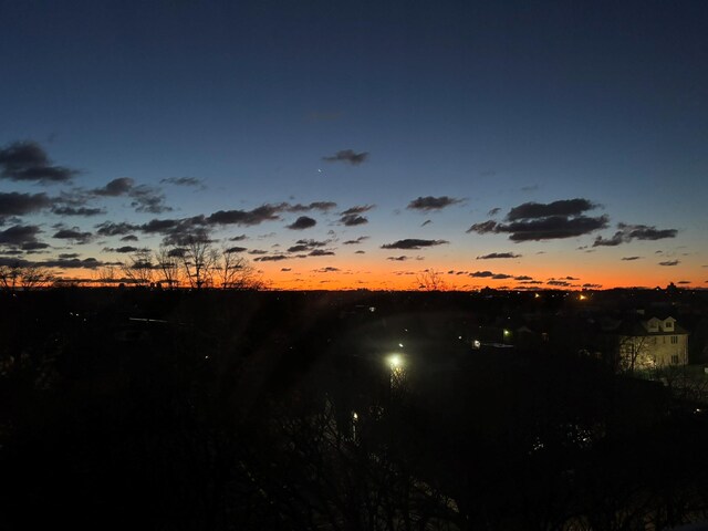 67-66 108th St Unit B64, Forest Hills, NY 11375 - view of nature