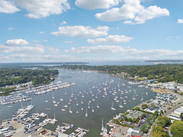133 Spring Rd Unit 8, Huntington, NY 11743 - drone / aerial view featuring a water view