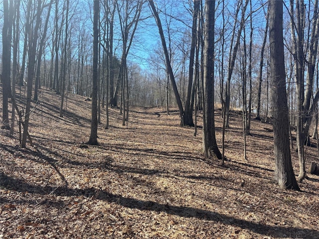 Pineridge, Wappingers Falls, NY 12590 - photo 3