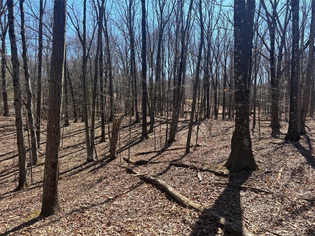 Pineridge, Wappingers Falls, NY 12590 - photo 4