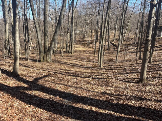 Pineridge, Wappingers Falls, NY 12590 - photo 5
