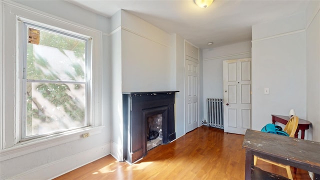 32-25 30th St, Long Island City, NY 11106 - living area with a fireplace, radiator heating unit, and wood finished floors