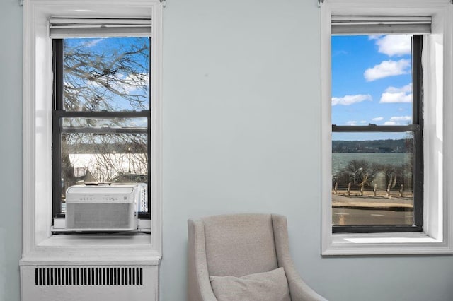 9701 Shore Rd Unit 1O, Brooklyn, NY 11209 - living area featuring radiator and cooling unit