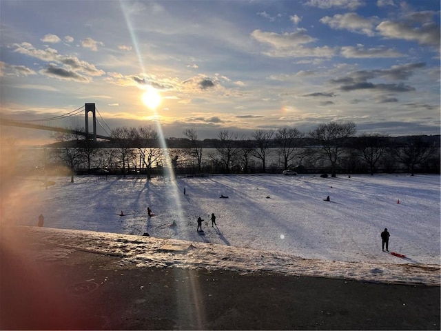 9701 Shore Rd Unit 1O, Brooklyn, NY 11209 - view of yard