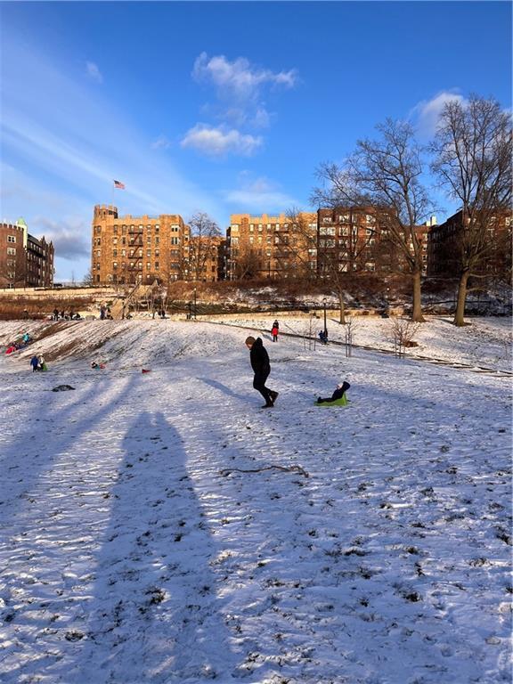 9701 Shore Rd Unit 1O, Brooklyn, NY 11209 - view of yard covered in snow