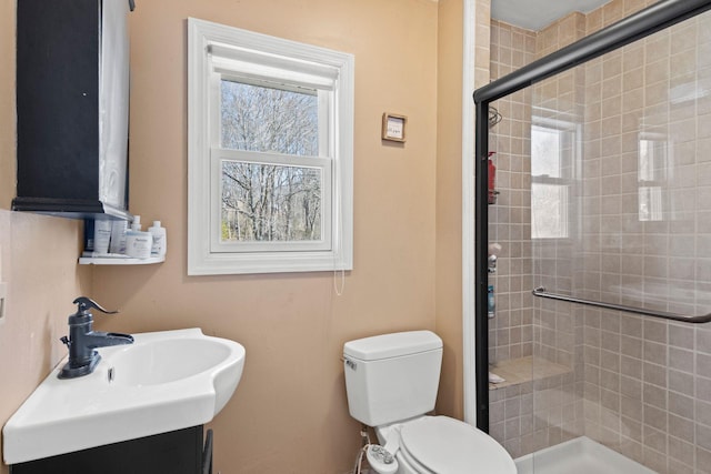 bathroom featuring vanity, toilet, and a stall shower