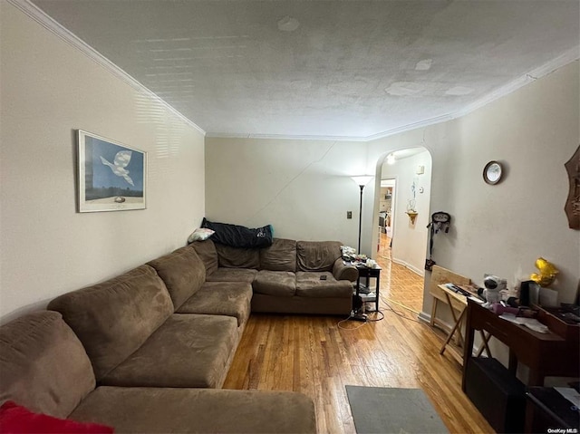 133-25 Blossom Ave, Flushing, NY 11355 - living room with arched walkways, light wood finished floors, and crown molding