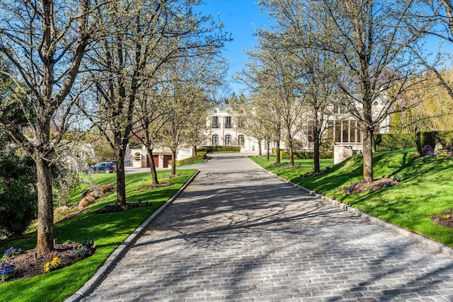 186 Kings Point Rd, Great Neck, NY 11024 - view of home's community featuring decorative driveway and a lawn