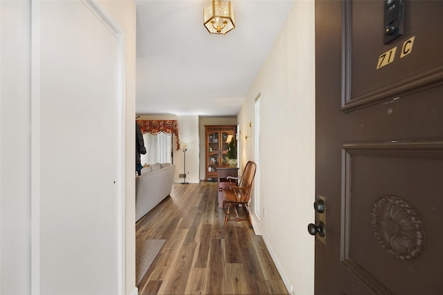foyer entrance featuring baseboards and wood finished floors