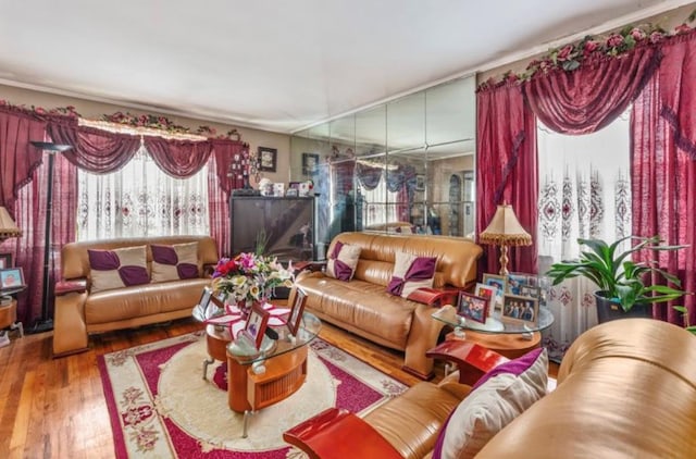 11812 Francis Lewis Blvd, Cambria Heights, NY 11411 - living area featuring wood finished floors