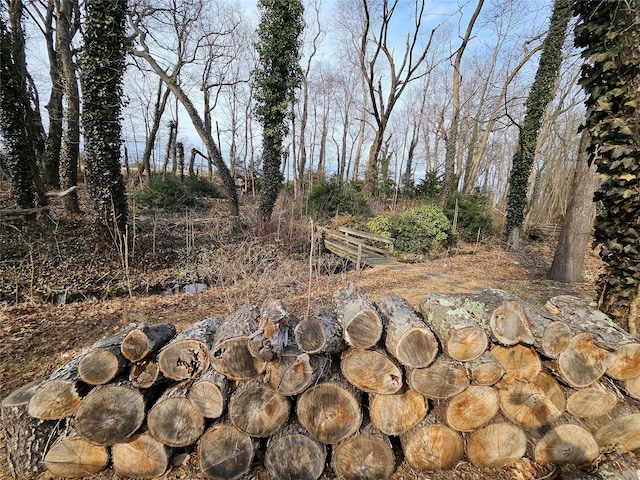 7 Raynham Rd, Glen Cove, NY 11542 - view of yard