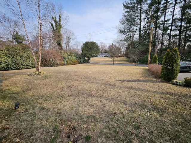 7 Raynham Rd, Glen Cove, NY 11542 - view of yard
