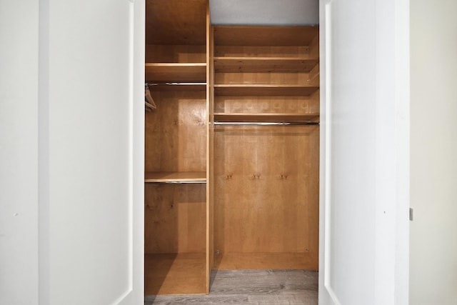 2 Bay Club Dr Unit 17Z2, Bayside, NY 11360 - view of closet