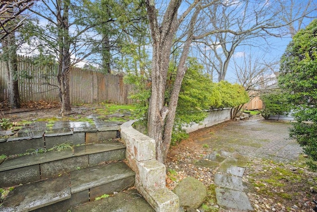 view of yard with a patio and fence