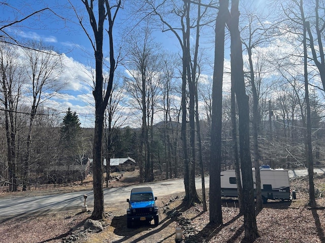 view of road with a wooded view