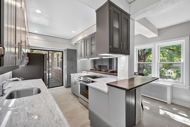 285 Grand St, Croton-On-Hudson, NY 10520 - kitchen featuring stainless steel appliances, radiator heating unit, glass insert cabinets, light stone countertops, and a peninsula
