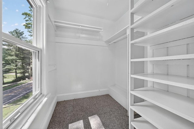 285 Grand St, Croton-On-Hudson, NY 10520 - walk in closet with carpet flooring