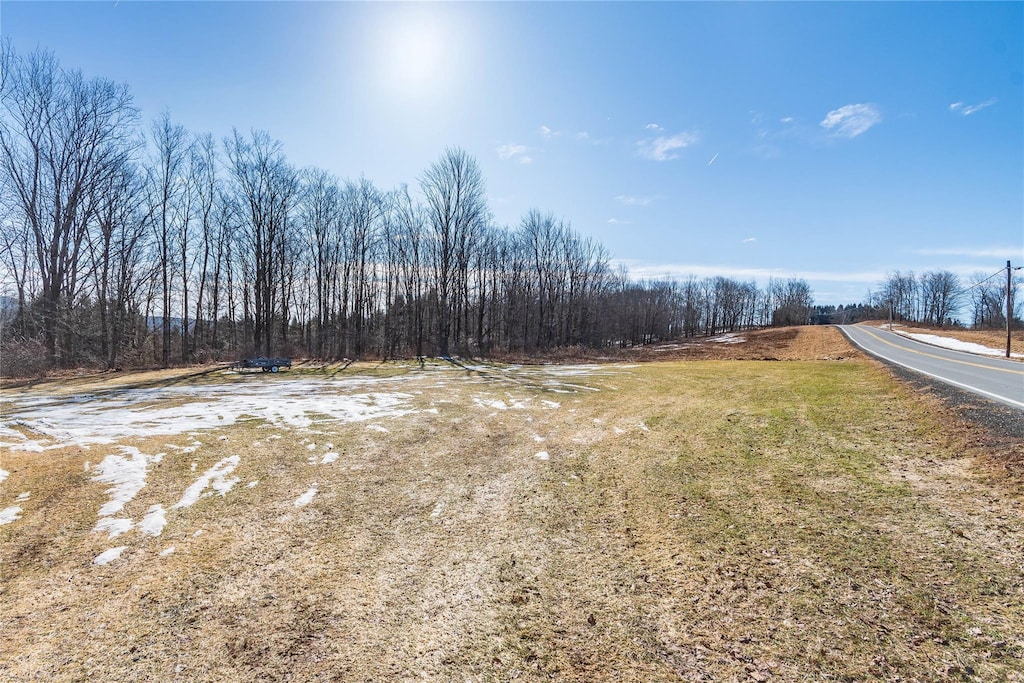 161 White Sulphur Rd, Swan Lake, NY 12783 - photo 1