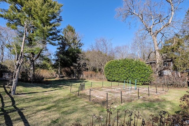 view of yard with a vegetable garden