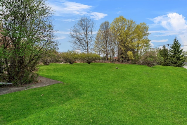 view of yard