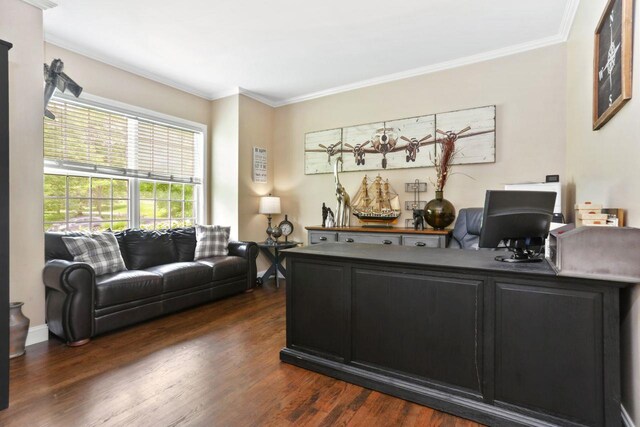36 Saint Andrews Ln, Hopewell Junction, NY 12533 - photo 4