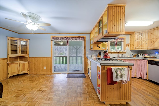 kitchen with stainless steel dishwasher, backsplash, a wainscoted wall, ceiling fan, and a sink