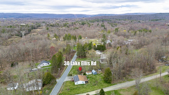 bird's eye view with a mountain view and a forest view