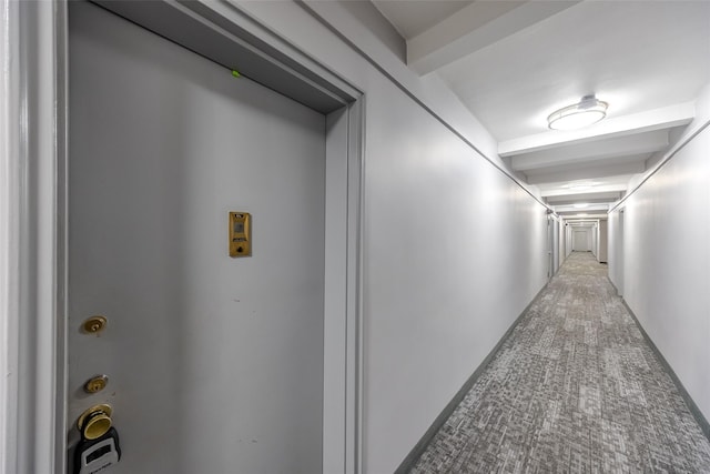 88-25 155th Ave Unit 6L, Howard Beach, NY 11414 - corridor featuring carpet flooring