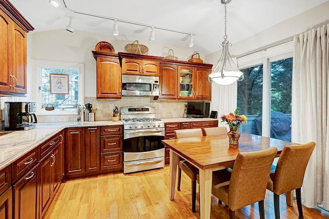 28 Rose Ave, Great Neck, NY 11021 - kitchen featuring appliances with stainless steel finishes, rail lighting, plenty of natural light, and light wood-style floors