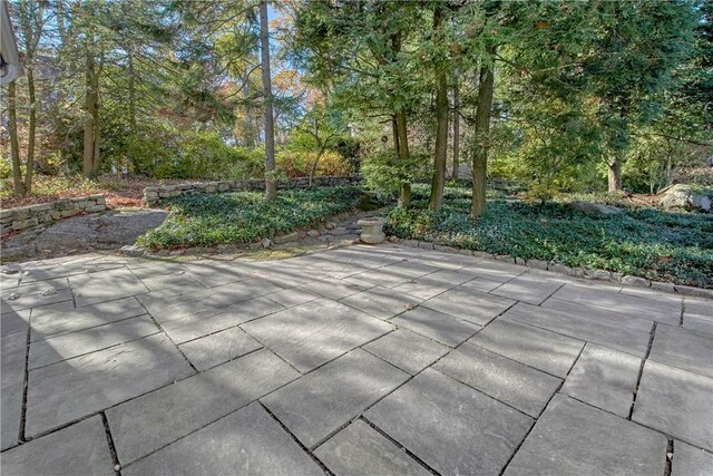 95 Dogwood Ln, Rye, NY 10580 - photo 21