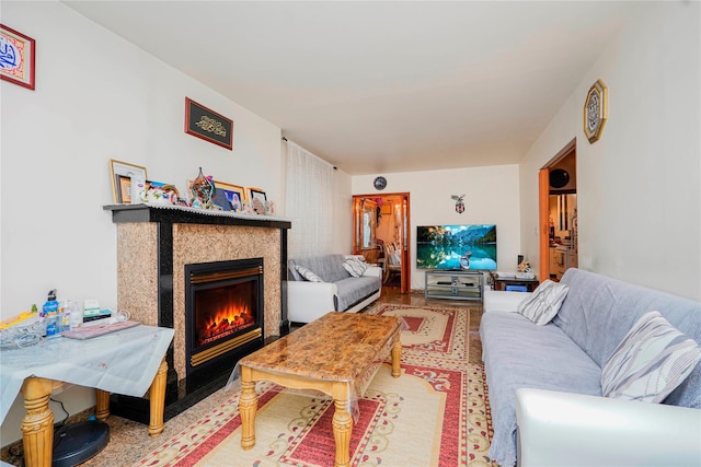 living area with a fireplace