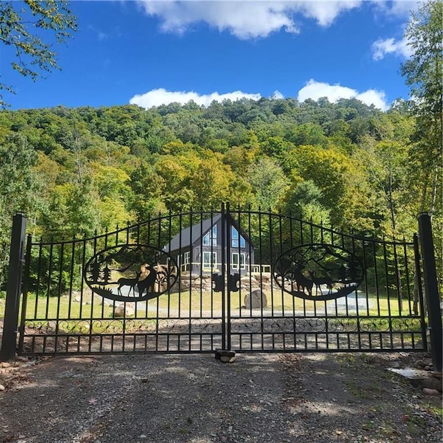 1211 Gulf Rd, Livingston Manor, NY 12724 - gate with a view of trees